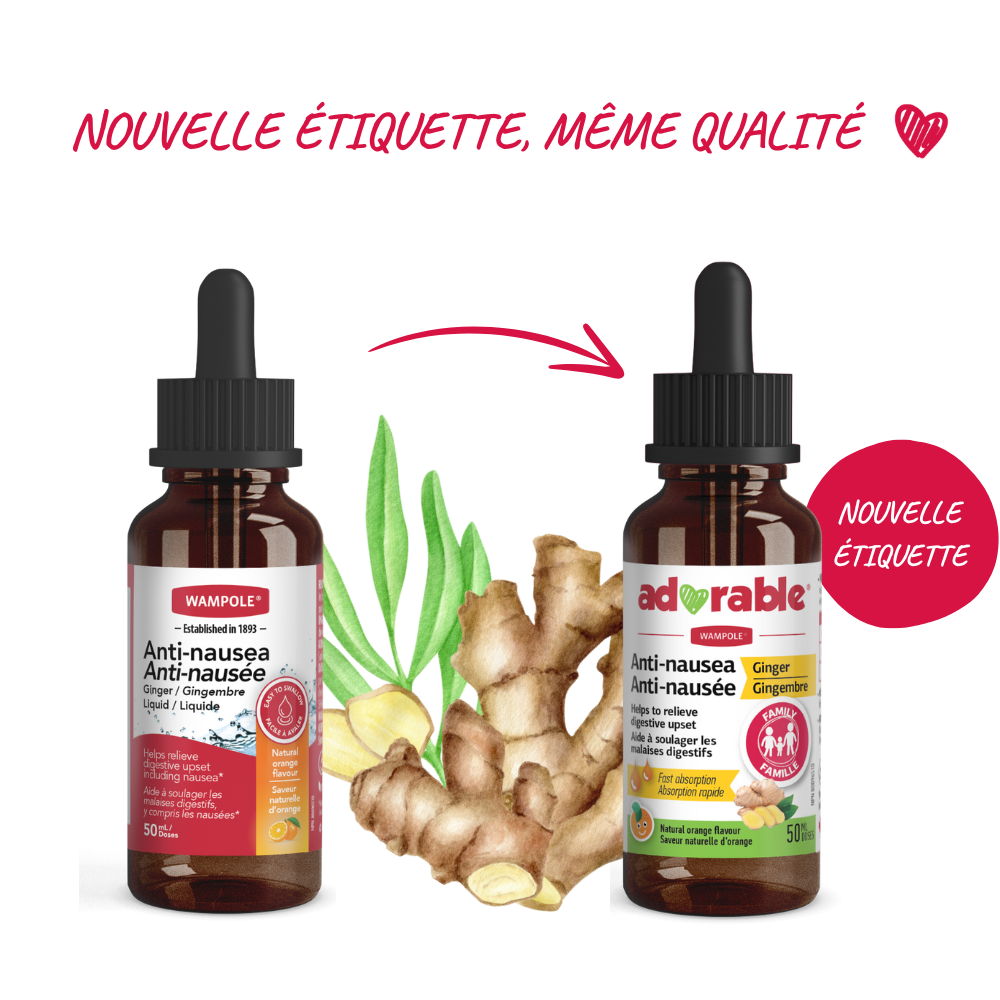ANTI-NAUSÉE GINGEMBRE LIQUIDE COMPTE-GOUTTES – Image 2